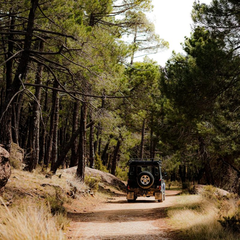 offroad-car-passing-road-forest